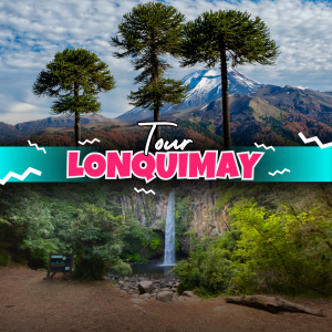Lonquimay | 06 Junio